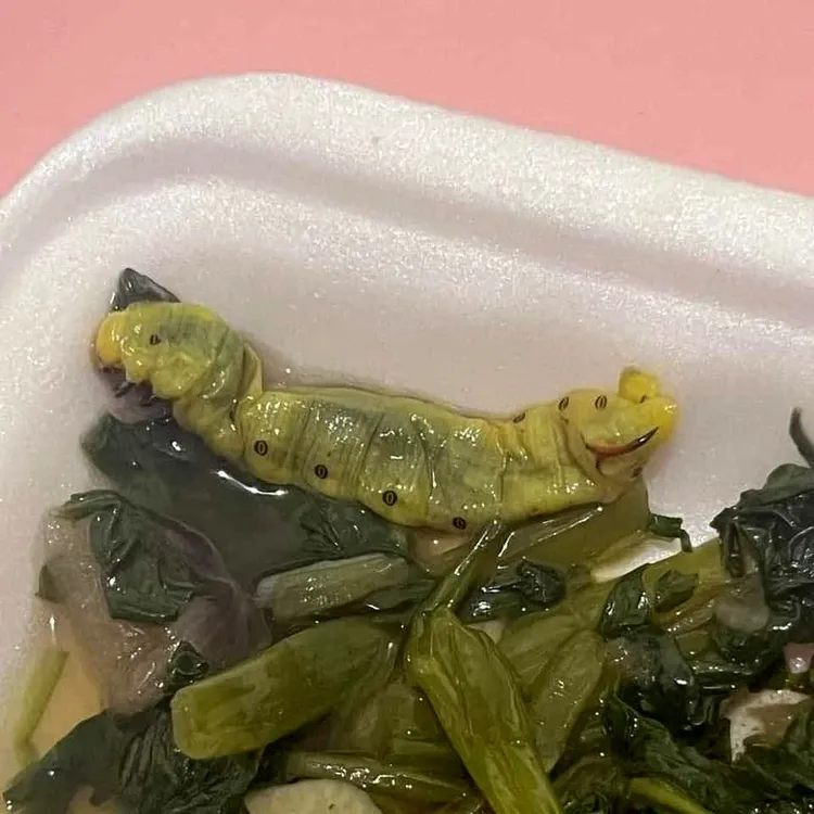 網友打趣說這隻菜蟲是「豌豆莢」。翻攝自臉書「爆廢公社」