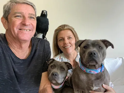 澳洲動物網紅「佩姬與莫利」慘被官員拆散 5萬網友連署求「讓莫利回家」