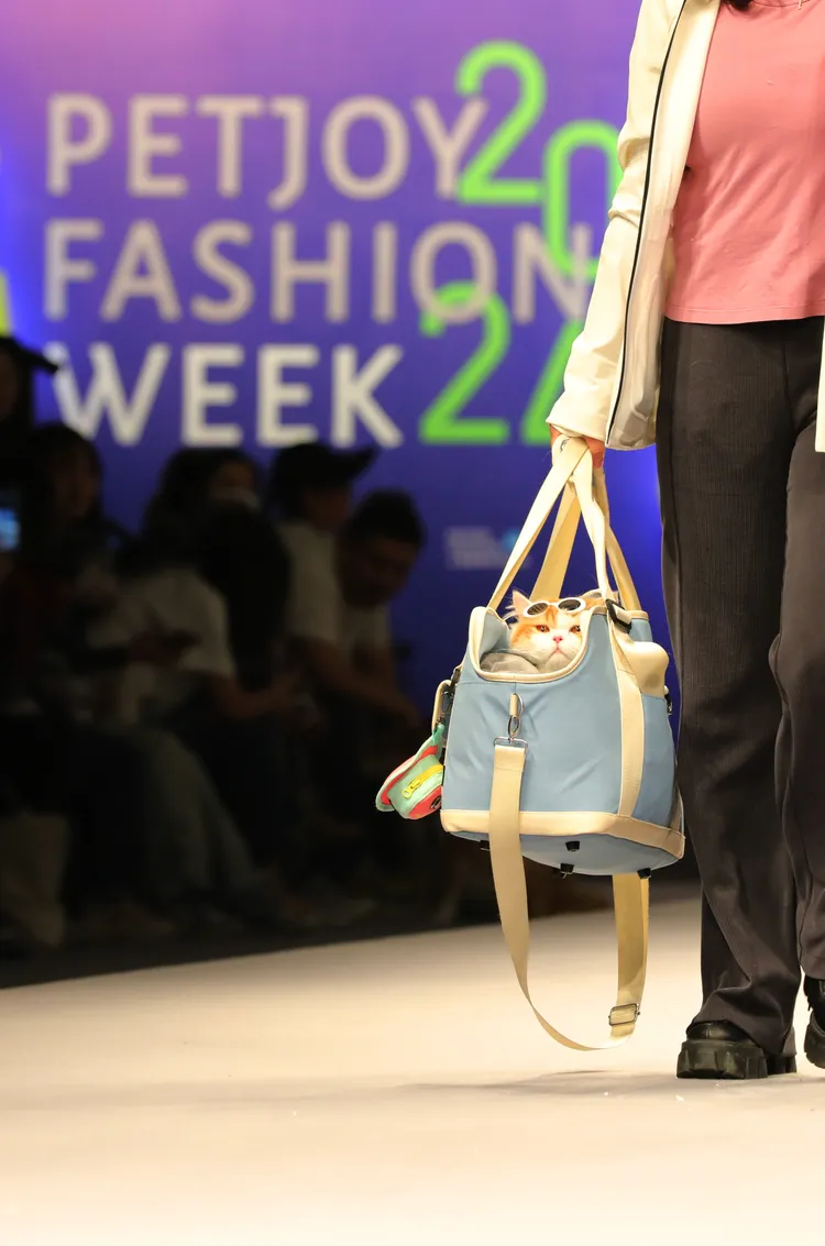 「寵愛嘉年華（PETJOY）暨上海寵物時裝周」今天有多場寵物走秀。新華社