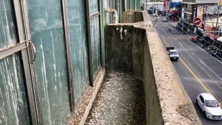 居民大嘆，清了又清，每年都來。讀者提供