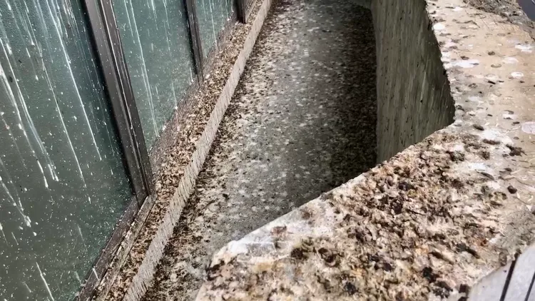 陽台「彈痕」累累，令人發毛。讀者提供