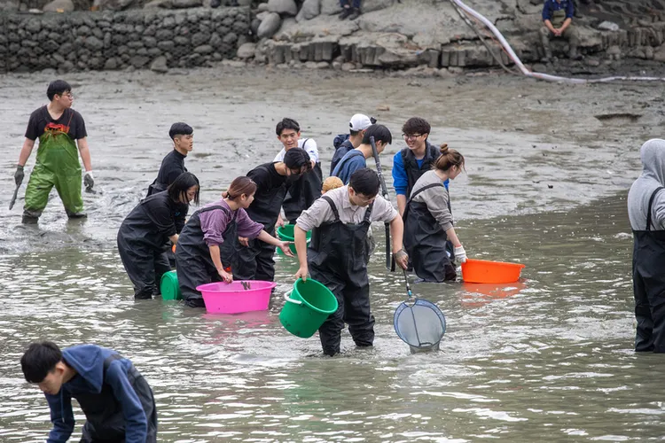 清池作業包括移除會危害原生種的外來種。中央社