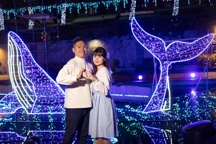 浪漫愛情運河愛情鯨豚為愛相隨。水利局提供