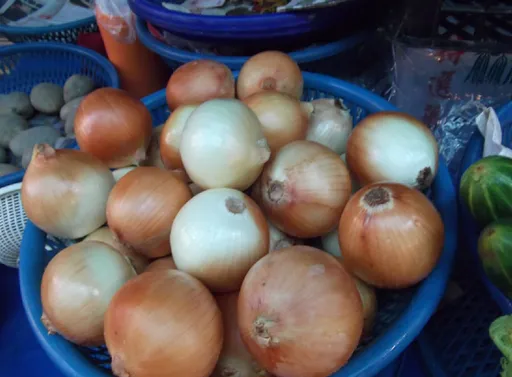 食品科学家来解答　这些小技巧让你切洋葱不再眼泪流