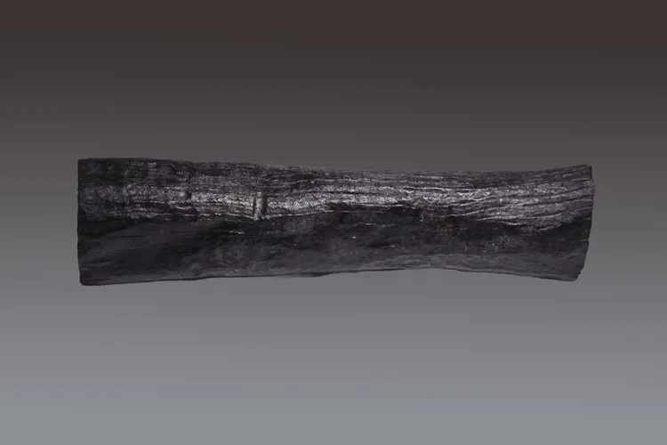 南海西北陸坡二號沈船遺址出水的烏木。新華社