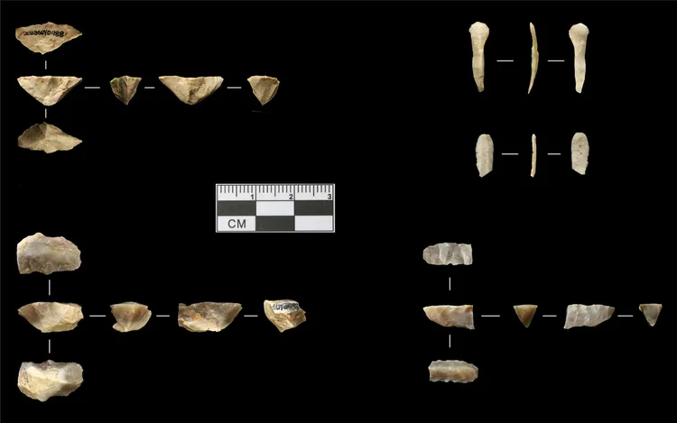 山東沂水跋山遺址群水泉峪遺址出土的船形石核。新華社