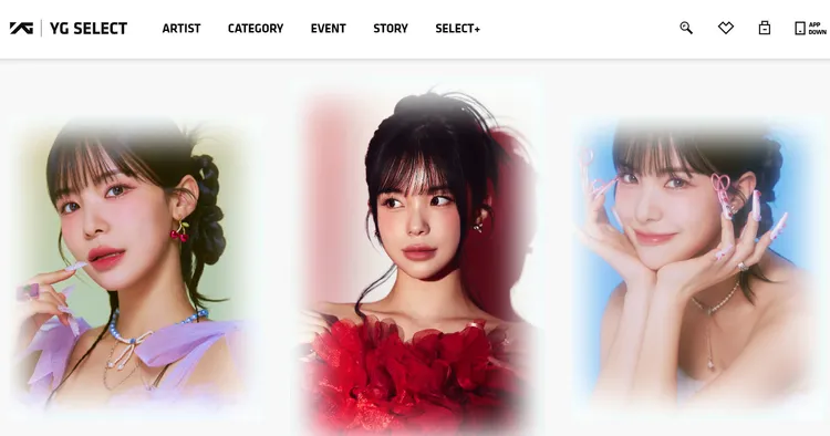 YG SELECT官網上已有販售李多慧獨家未公開照片及相關商品。翻攝《YG SELECT》官網