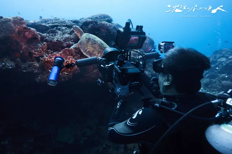 圖片由LINE 、公視提供