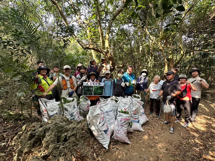 中山生物系師生進行外來植物移除活動。中山大學提供