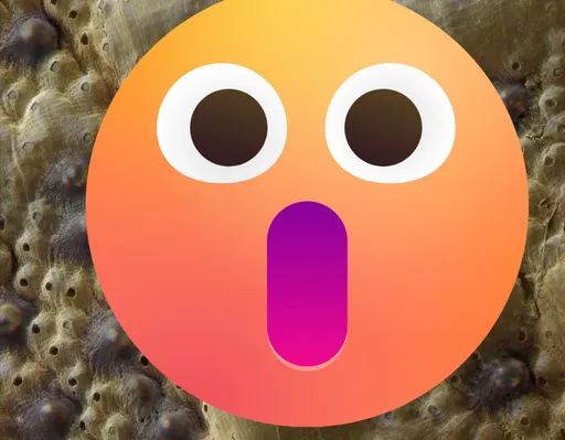 密集恐懼症勿入!神奇物種「全身都是眼」 演化4次而來