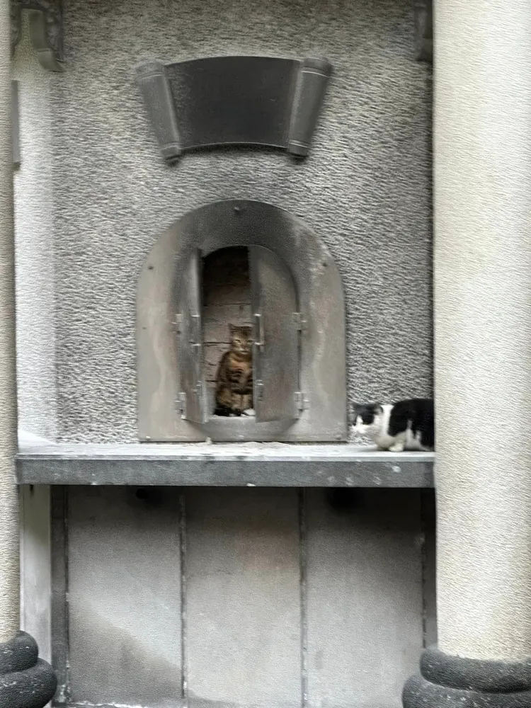 一名網友在網路上分享他在寺廟燒香拜拜後，要去燒金紙時，一打開金爐卻見到毛孩安坐在金爐內。翻攝《路上觀察學院》社團