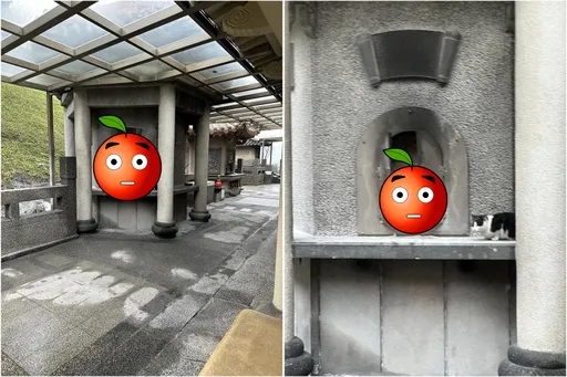 打開金爐赫見毛孩!他苦惱怎麼燒金紙? 網見畫面驚呼:是虎爺吧