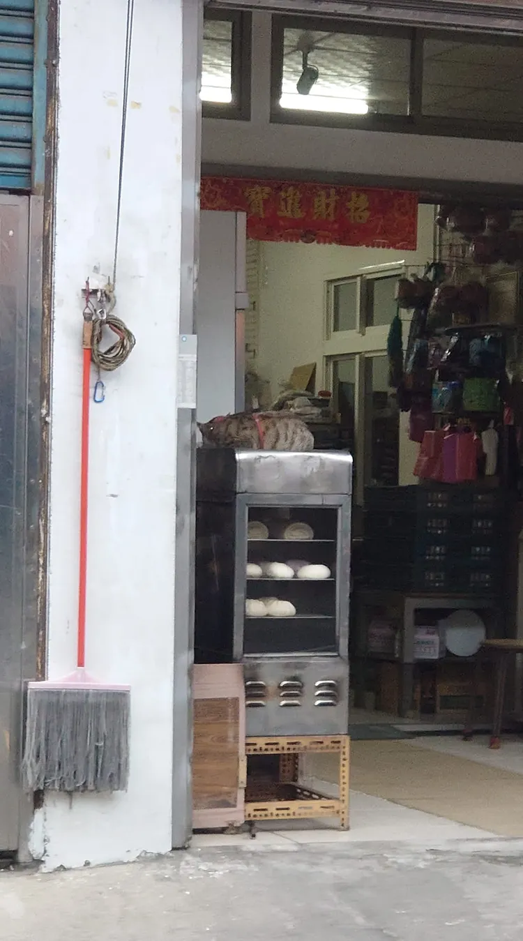 也有人分享毛小孩在不同地方取暖的照片，有的在蒸包機上方，並寫道：「還有這樣的，這算不算一種三溫暖？」翻攝《路上觀察學院》社團