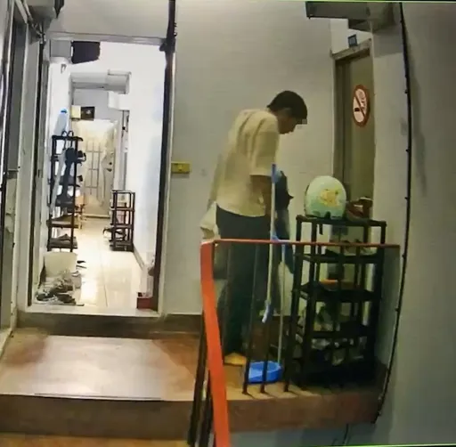 男大生狂歡發酒瘋虐殺學姐愛貓 丟牆勒頸手段殘暴