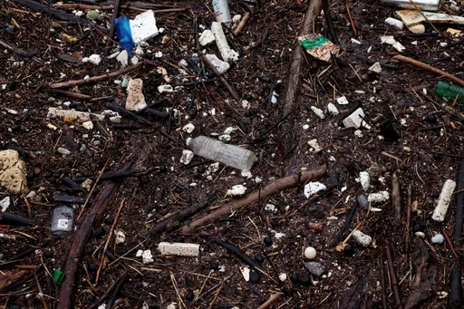 塞納河髒到奧運金牌得主都嫌 巴黎打官腔:會整治