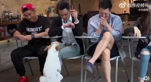 有片|阮經天綜藝黑歷史被挖出!蹺著二郎腿被發情狗「上了」