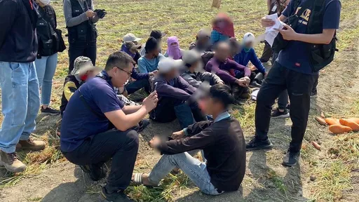 失聯移工恐破9萬人!抓不勝抓 順路「突襲」蘿蔔田又連逮15人