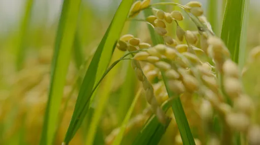 舊振南135週年打造無麩甜點　永續善食計畫 X EATMI翻轉米食新文化