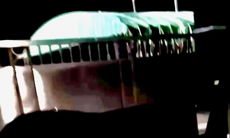 約15秒後，趕緊逃離。讀者提供