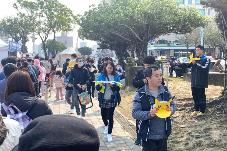 台南市區處處可見寶友出沒。市府提供