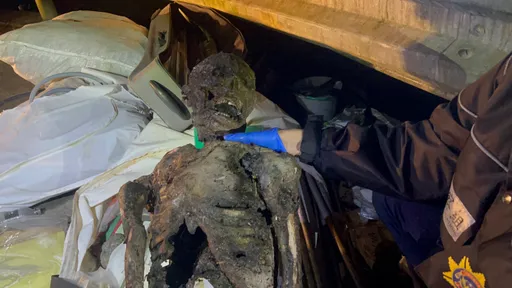 山區賞螢驚見「全裸溶屍」嚇破膽! 警「破案」關鍵竟是看過這部台劇