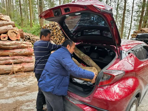 南投林業分署送禮 史上頭一遭!開放居民撿拾林班地廢材
