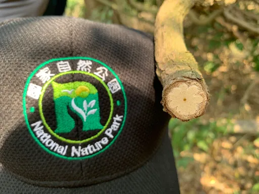 高雄壽山多處蔓藤遭砍伐！善心人手下留情　管理處提醒要罰這麼多錢