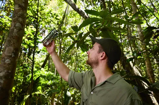 台積電將加入Apple創新基金Restore Fund投資行列