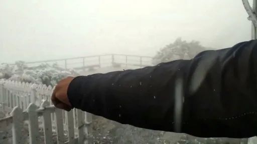 玉山-2.3°C下冰霰!北峰凍成白色世界 影片曝光