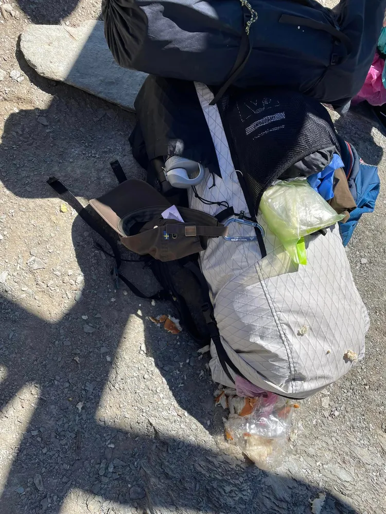 嘉明湖黃喉貂出沒！翻攝臉書登山社團