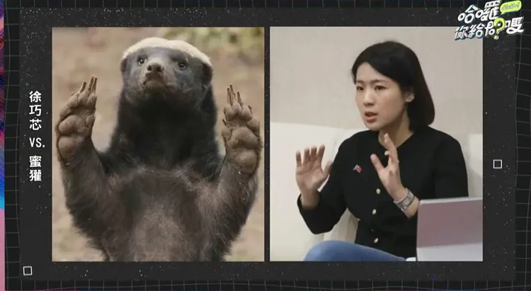 徐巧芯和蜜獾做對比。公視提供