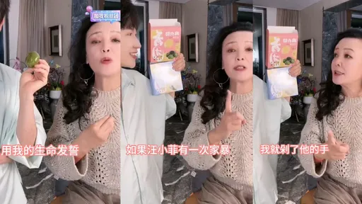 張蘭稱大S獨吞上億片酬「汪小菲繳稅」　用生命發誓兒子沒家暴