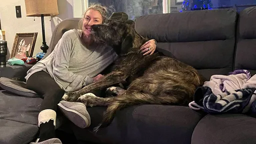 女飼主「跳河救狗」消失4個月 屍體尋獲時抱著凍斃犬屍