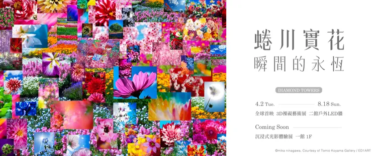 《蜷川實花－瞬間的永恆》3D裸視影像4月2日將DIAMOND TOWERS外牆全球首映。新光三越提供