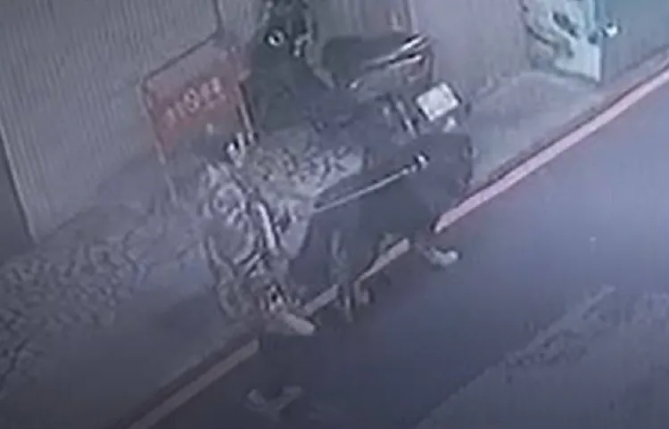 監視器錄到獒犬與飼主身影。新北市動保處提供