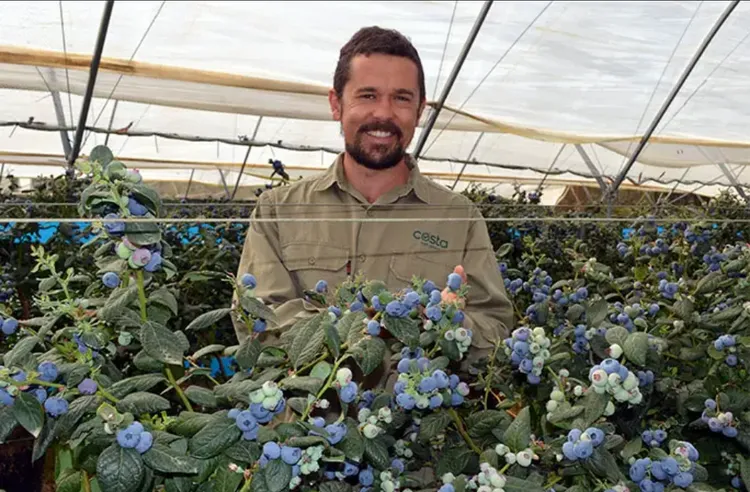 周圍的藍莓也都相當大。金氏世界紀錄