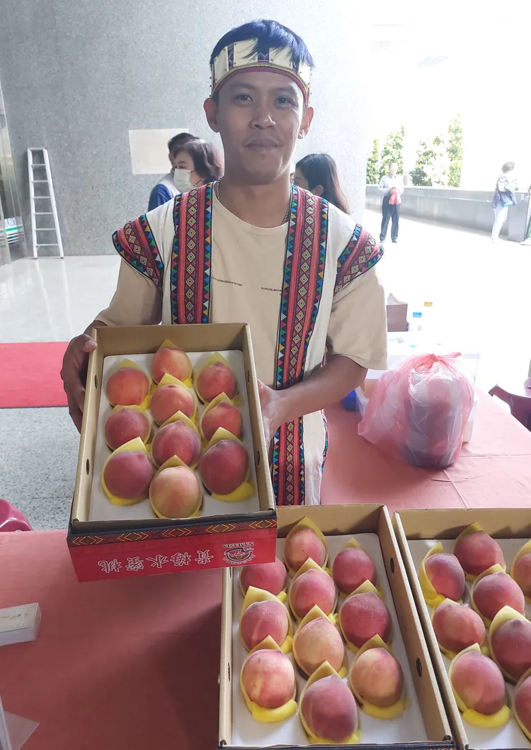 納瑪夏水蜜桃已陸續上市。凃建豐攝