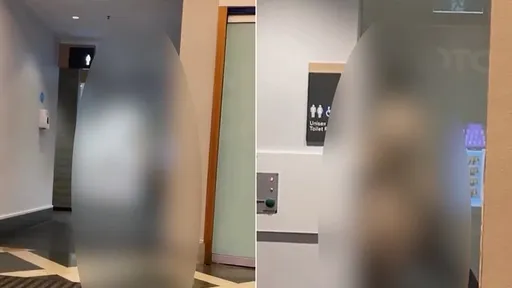 購物好性奮?情侶衝商場殘障廁所嘿咻 活春宮畫面眾人全瞧見了