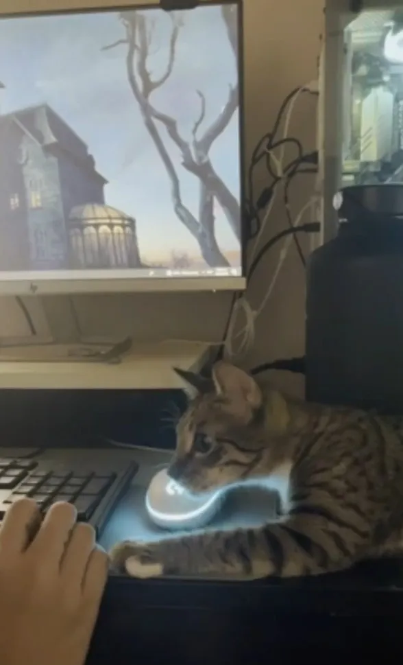 偶心中有一把尺，請勿超過界線。IG @cats_dog_earth 提供