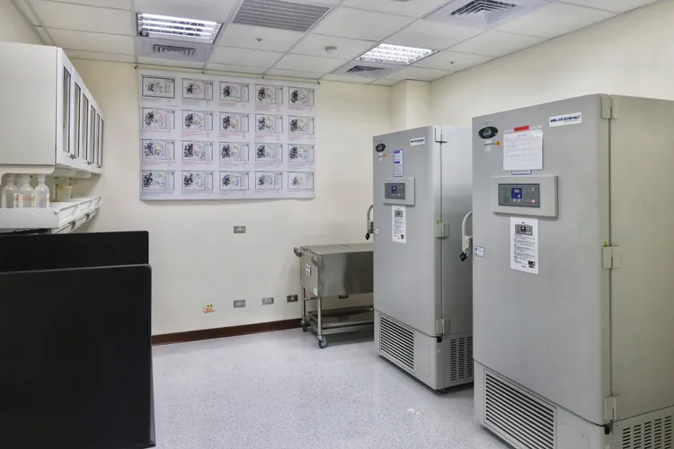 「腦庫」冰箱。資料照片