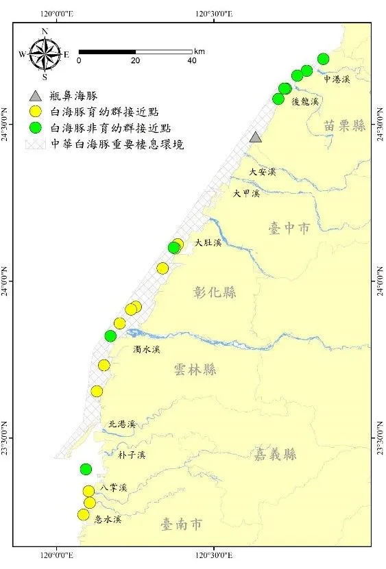 112年海保署白海豚族群調查目擊位置。海保署提供