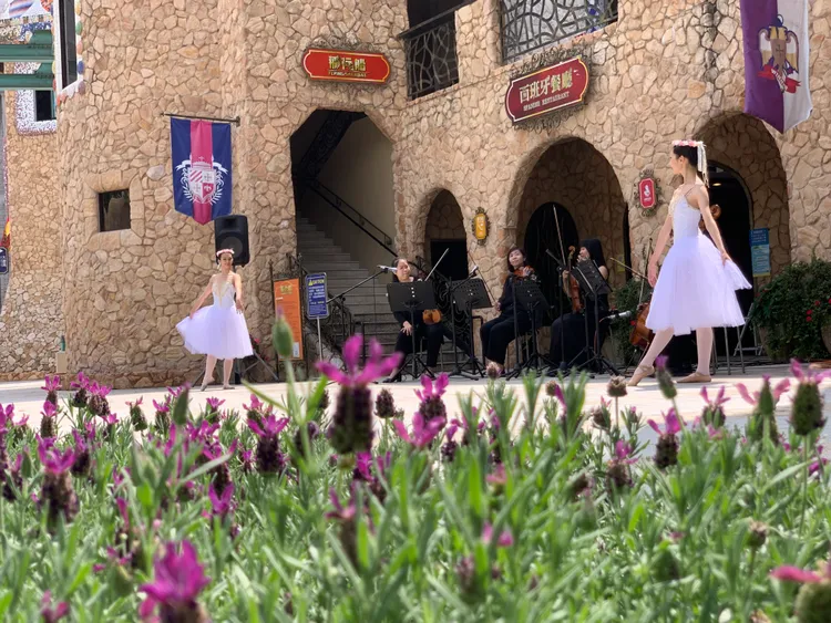 「紫戀薰衣草」花季3/16~4/6期間推出紫戀3月音樂會。九族提供