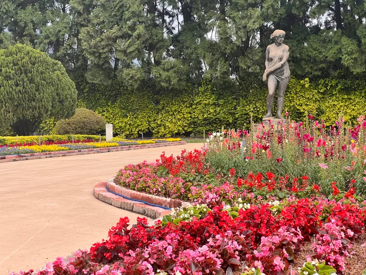 數萬株的薰衣草和各式花卉爭奇鬥艷。九族提供