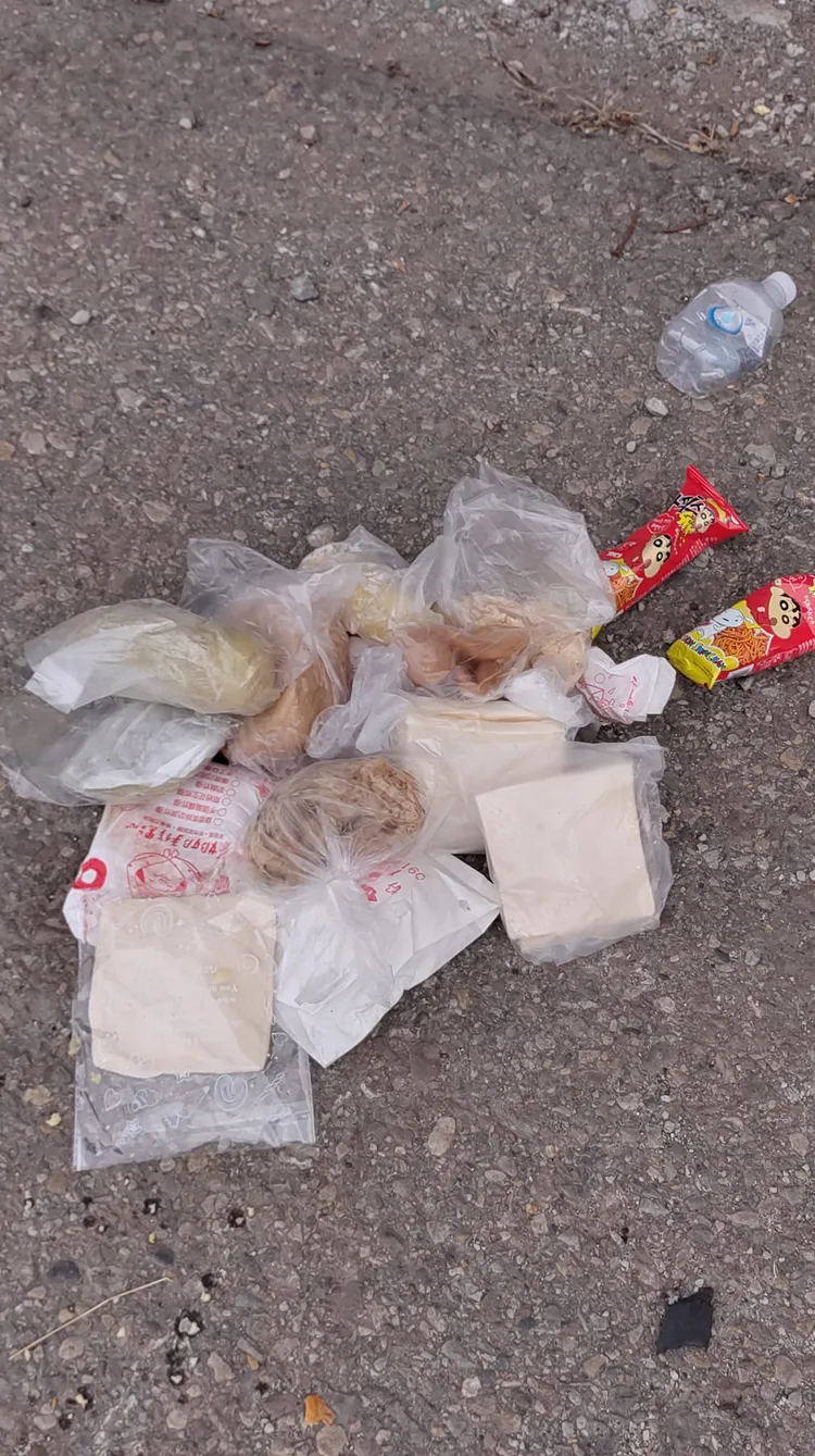 白沙屯媽今起展開9天8夜近400公里的宗教之旅，首日驚見「食物遭丟一地」。翻攝自「白沙屯媽祖全球徒步聯誼會」臉書