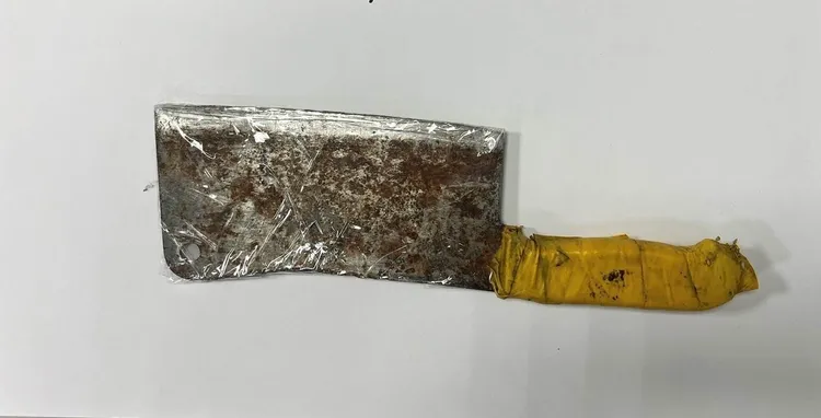 犯案用的菜刀。翻攝畫面