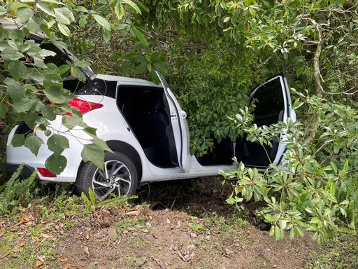 五指山國軍公墓掃墓出事　3婦人連人帶車摔下邊坡