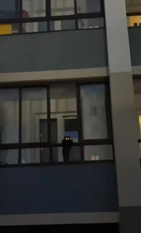 不仔細看還以為是人類站在窗台。IG @cats_dog_earth 提供