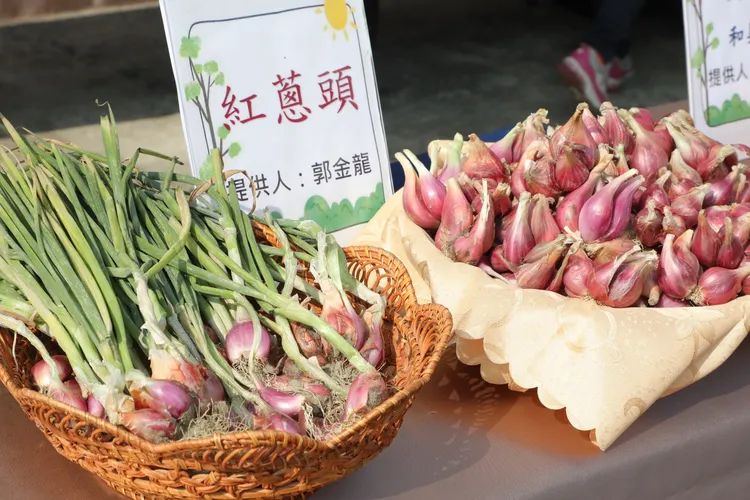 台南紅蔥頭產量全國第一。市府提供