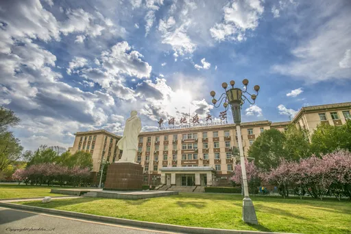 中國學術論文出現疑似ChatGPT用語　校方喊查