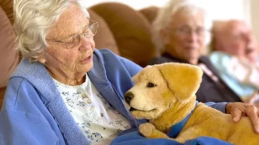 壹蘋派生活美語 失智症患者的好朋友:機器寵物